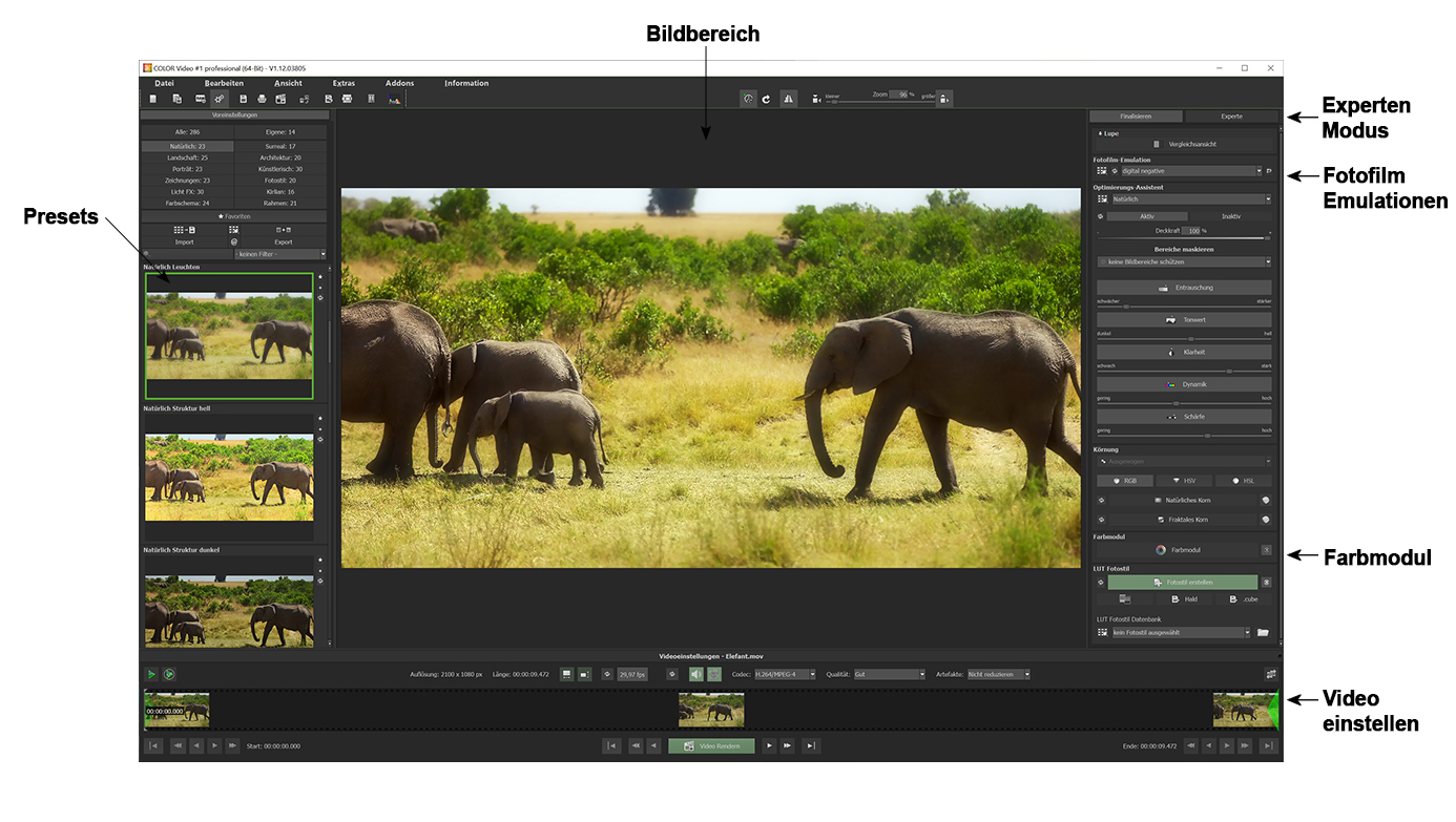 Bild des Interface COLOR Video #1 professional